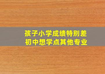 孩子小学成绩特别差 初中想学点其他专业